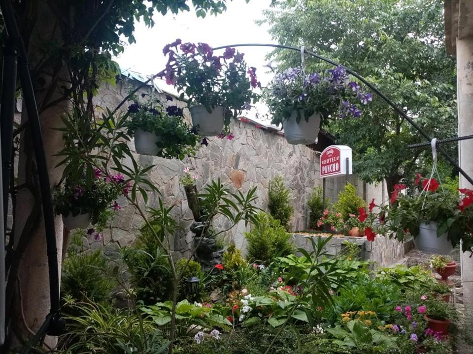 Pancho Family Hotel Kranevo Extérieur photo